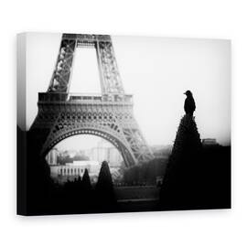 Tablou Canvas - Cioara, Multime, Franta, Peisaj Urban, La Paris, Alb-Negru, 50 x 70 cm - - Roveli