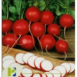 Seminte ridichi de luna Cherry Belle PPZ 250 GR - - Roveli