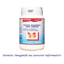 Calciu Magneziu Zinc Fosfor 40 capsule Favisan - - Roveli