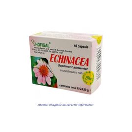 Echinacea 40 capsule Hofigal - - Roveli