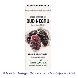 Extract din Muguri de Dud Negru 50 ml PlantExtrakt - - Roveli