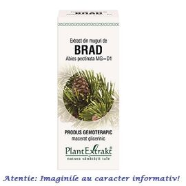 Extract din Muguri de Brad 50 ml PlantExtrakt - - Roveli