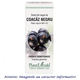 Extract din Muguri de Coacaz Negru 50 ml PlantExtrakt - - Roveli
