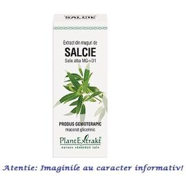 Extract din Muguri de Salcie 50 ml PlantExtrakt - - Roveli