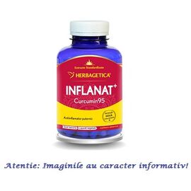 Inflanat Curcumin 95 120 capsule Herbagetica - - Roveli