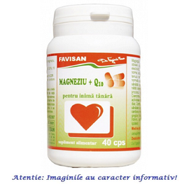 Magneziu + Q10 40 capsule Favisan - - Roveli