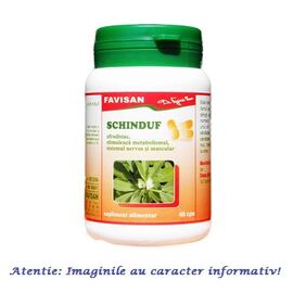 Schinduf 40 capsule Favisan - - Roveli