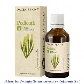 Tinctura de Pedicuta 50 ml Dacia Plant - - Roveli