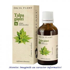 Tinctura de Talpa Gastei 50 ml Dacia Plant - - Roveli