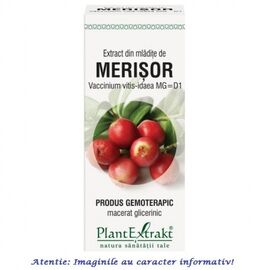Extract din Mladite de Merisor 50 ml PlantExtrakt - - Roveli
