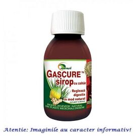 Gascure Sirop 100 ml Ayurmed - - Roveli