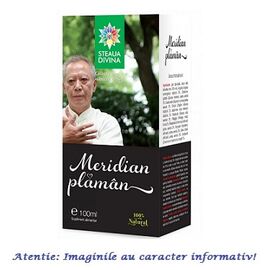 Meridian Plaman Tinctura 100 ml Steaua Divina - - Roveli