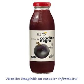 Nectar de Coacaze Negre Fara Zahar 300 ml Dacia Plant - - Roveli