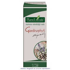 Tinctura Giardinophyt 30 ml PlantExtrakt - - Roveli