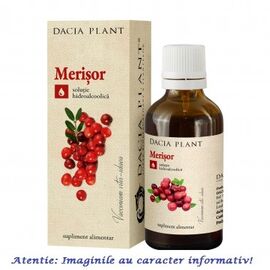 Roveli - Tinctura de Merisor 50 ml Dacia Plant-