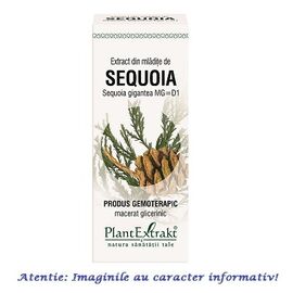Roveli - Extract din Mladite de Sequoia 50 ml PlantExtrakt, 