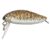 Vobler Kamatsu Power Bug 2.8cm/1.8gr - - Roveli