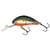 Vobler Salmo Hornet H5F - - Roveli