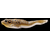 Vobler LiveTarget Frog Walking Bait 10.5cm/17.7gr - - Roveli