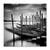 Tablou Canvas - Santa Maria della Salute, Venetia, Italia, Alb negru, Marime: 60 x 60 cm - - Roveli