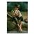 Tablou Canvas - Baietel cu fluier, Copil, Verde, Marime: 60 x 90 cm - - Roveli