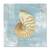Tablou Canvas - Asculta vocea marii, Scoica, Albastru, Mare, Marime: 60 x 60 cm - - Roveli