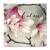 Tablou Canvas - Floare, Roz, Calm, Marime: 60 x 60 cm - - Roveli