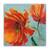 Tablou Canvas - Flori, Papadie, Vintage, Marime: 60 x 60 cm - - Roveli