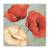 Tablou Canvas - Flori, Primavara, Papadii, Vintage, Marime: 60 x 60 cm - - Roveli