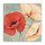 Tablou Canvas - Flori, Floare, Maci, Marime: 60 x 60 cm - - Roveli