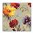 Tablou Canvas - Floral, Vintage, Gerbera, Marime: 60 x 60 cm - - Roveli