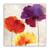 Tablou Canvas - Floral, Vintage, Papadie, Marime: 60 x 60 cm - - Roveli