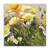 Tablou Canvas - Lalele, Vintage, Floral, Marime: 60 x 60 cm - - Roveli