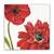 Tablou Canvas -Floral, Vintage, Mac Rosu, Marime: 60 x 60 cm - - Roveli