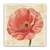 Tablou Canvas - Floral, Lalea, Roz, Marime: 60 x 60 cm - - Roveli