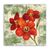 Tablou Canvas - Floral, Vintage, Rosu, Narcis, Marime: 60 x 60 cm - - Roveli