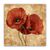 Tablou Canvas - Vintage, Floral, Papadii, Marime: 60 x 60 cm - - Roveli