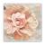 Tablou Canvas - Vintage, Flori, Bujori, Roz, Marime: 60 x 60 cm - - Roveli