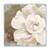 Tablou Canvas - Vintage, Flori, Bujori, Alb, Marime: 60 x 60 cm - - Roveli