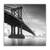 Tablou Canvas - Brooklyn Bridge, Pod, Monochrom,, Marime: 60 x 60 cm - - Roveli