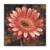 Tablou Canvas - Vintage, Gerbera, Floral, Roz, Marime: 60 x 60 cm - - Roveli