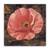 Tablou Canvas - Vintage, Lalea, Floral, Roz, Marime: 60 x 60 cm - - Roveli