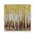 Tablou Canvas - Salcami, Copaci, Padure, Marime: 60 x 60 cm - - Roveli