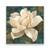 Tablou Canvas - Nufar, Floral, Vintage, Marime: 60 x 60 cm - - Roveli