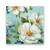 Tablou Canvas - Floral, Nufar, Alb, Marime: 60 x 60 cm - - Roveli