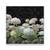 Tablou Canvas - Floral, Paris, Jardiniere, Marime: 60 x 60 cm - - Roveli