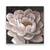 Tablou Canvas - Bujori I, Floare, Alb, Marime: 60 x 60 cm - - Roveli