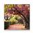 Tablou Canvas - Alee, Frunze, Copaci, Marime: 60 x 60 cm - - Roveli
