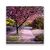 Tablou Canvas - Strada, Flori de Cirese, Copaci, Marime: 60 x 60 cm - - Roveli