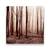 Tablou Canvas - Padure, Uscat, Frunze, Monochrom, Marime: 60 x 60 cm - - Roveli
